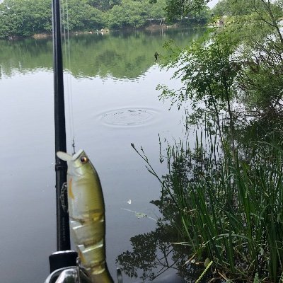 shinsai39198377's profile picture. おーいえ