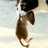 freeagent235's profile image