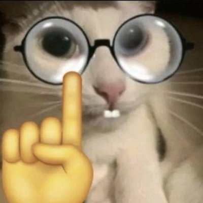 HI GUYS :)
just your average little guy who writes.