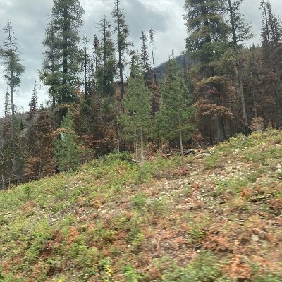 see21959's profile picture. 