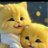 Celia_ccs's profile image