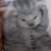 wuru (comms closed) (@wuruwan) Twitter profile photo wuru (comms closed) (@wuruwan) Twitter profile photo