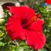 æ²çžã«ã³ã«ã³âª (@okinawa_runrun) Twitter profile photo æ²çžã«ã³ã«ã³âª (@okinawa_runrun) Twitter profile photo