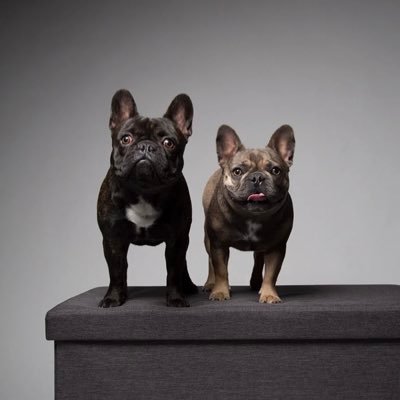 hqzj5026's profile picture. Cheerful and independent, sometimes he likes weird things, and he always likes wedding dresses the most💕💕