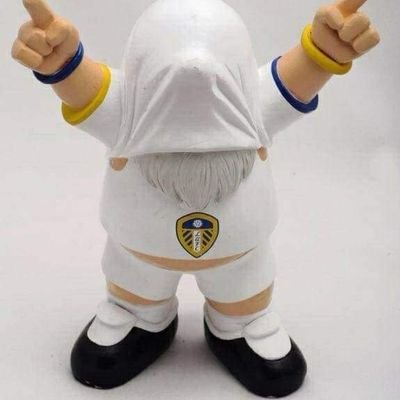 Long time Leeds fan living in France