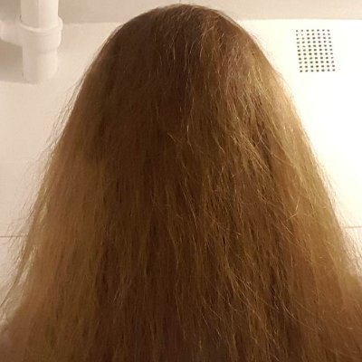 MarkusKark's profile picture. Erfinder des Fragezeichens.
Bezichtige Kastanien der Faulheit

Motto:
"Mit dem Angriff Steiners wird das alles wieder in Ordnung kommen"