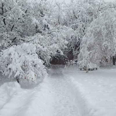 JBoogie_34's profile picture. 