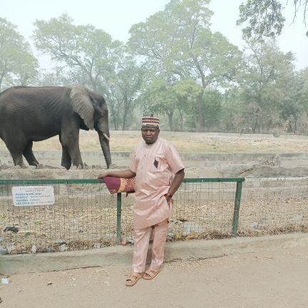 ULafiya's profile picture. Architectural Draftsman