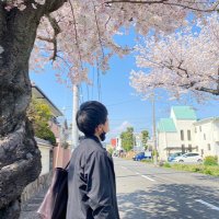 たー (@ta_kame_p) 's Twitter Profile
