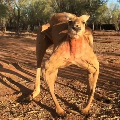 カニ。さんのプロフィール画像