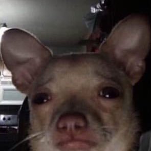 user38371292729's profile picture. 