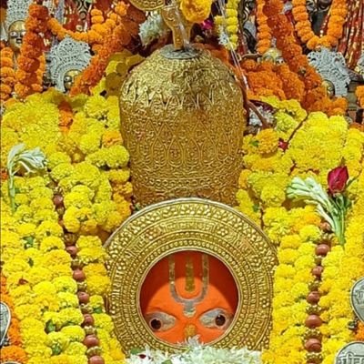 Omjimishra7311's profile picture. 