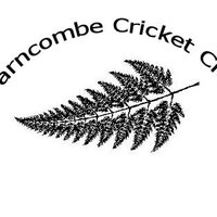 Farncombe CC (@farncombecc) 's Twitter Profile