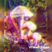 vihaannjoness's profile picture. Thesegasfeesthoughwehearyouyellintothemetaverse.