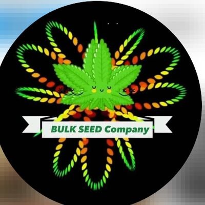 Bulkofseedscompany which you to purchase at their firm we're the best marijuana growers in state and our priority is to protect the interest of the both old/new