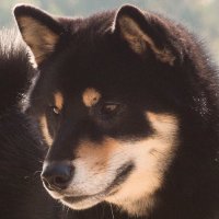 Bonker (@b0n_ker) 's Twitter Profile