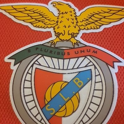 32 anos com a minha esposa ❤️
20 anos como Comercial Têxtil 💪
12 anos Treinador Basquetebol Nv II 🏀
Benfica? Desde que nasci! 💪🦅🇦🇹❤️