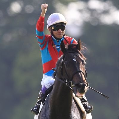jyousyoumankin's profile picture. 中央競馬/GⅠメインですがGⅡ、GⅢもたまに…競馬の予想で癒されてます。競馬は武豊でしょ。
