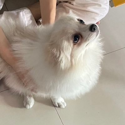 _5sunday's profile picture. 🤧