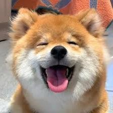 ewry58271454082's profile picture. |Investing in #NFT #DeFi #GameFi