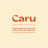 @caruprogramme