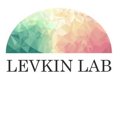 Levkin Research Group at Karlsruhe Institute of Technology @KITKarlsruhe @levkinlab

The account is collectively managed by group members :)