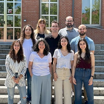 Research group at @ICP_CSIC. Development of electrocatalysts  for  clean energy (fuel cells, water and CO2 electrolysers, and unitized regenerative fuel cells)