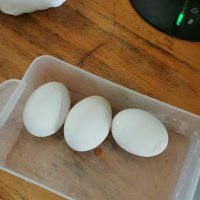 Ömer kara (@icardiaslankara) Twitter profile photo