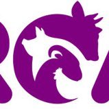 iROAR Podcasting Network(@iRoarNetwork) 's Twitter Profile Photo