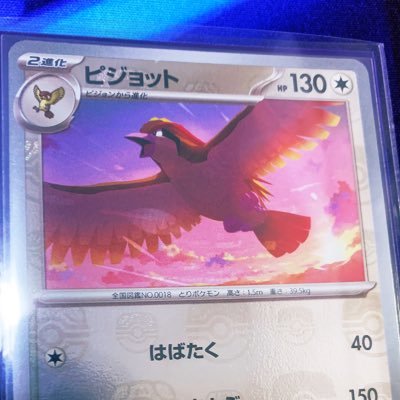 息子(小4・小2)とポケカを楽しむオジサン垢🫡 僕 2026 シティS1 優勝🥇(ソウブレイズ) / 2025CL大阪(ジュニア)りょーtop64 & そー 2-3