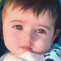 علي كاظم الشمري 🇮🇶 (@sh2ali8) 's Twitter Profile