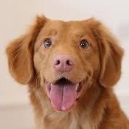 TOM8366's profile picture. 