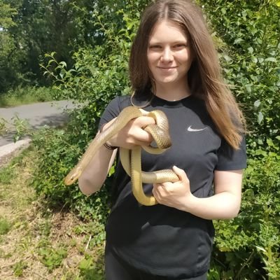 PhD student in Ecology and Evolution at Stony Brook University. Research interests in Herpetology, conservation biology, and museomics