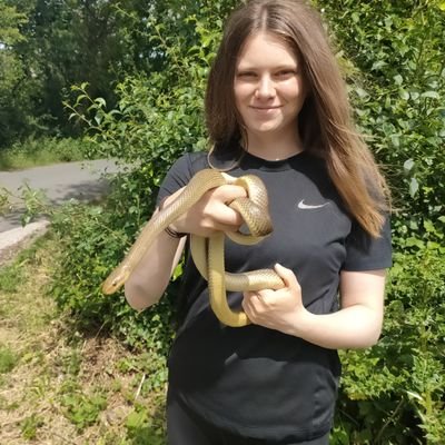 Herpetologist and MScRes student at Bangor University studying the Aesculapian snake population in North Wales