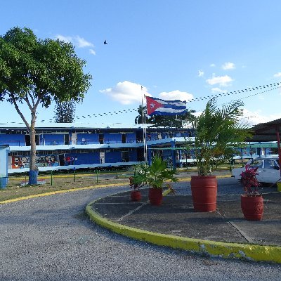 Francis01139811's profile picture. 