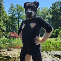 Thor (@thorrotti) 's Twitter Profile