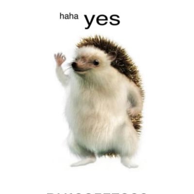 2hifish's profile picture. 