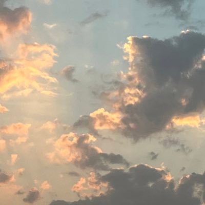 faisal_zh01's profile picture. CPP’24 ⚡️| @Sheffielduni