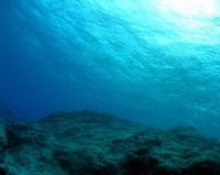 seatm0iov's profile picture. AIUにのほほんてします。柚葉です。暇なのでDMとかくださいね。フォローもお待ちしておりまふ。