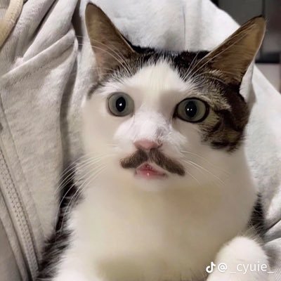 gojousaaaa's profile picture. personal space yang sangat personal
ninuninuninu