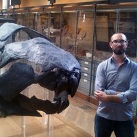 Vincent Dupret (@paleotrucs) 's Twitter Profile Photo Vincent Dupret (@paleotrucs) 's Twitter Profile Photo