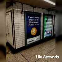 lilyaceevedo's profile picture. • https://t.co/XkQLrwis4C 🌱