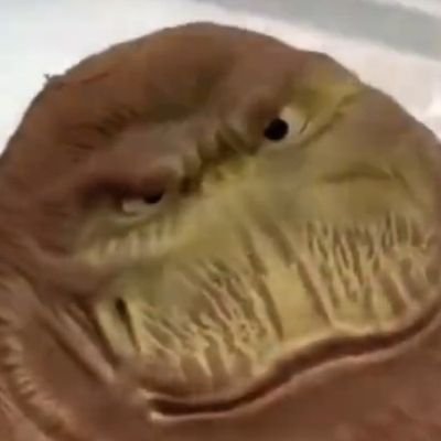 GreenOlive1312's profile picture. 