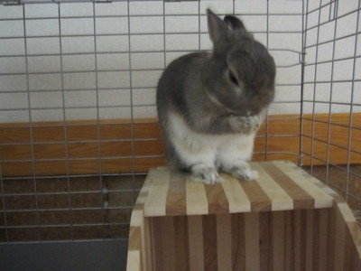 stayss9kk's profile picture. せっけん、どうです？？有希っていいます。リフォロお待ちしております。