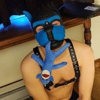 Hermes (@hermes_pup) 's Twitter Profile Photo Hermes (@hermes_pup) 's Twitter Profile Photo