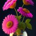جهاد 💛🌷 (@rgy715) Twitter profile photo جهاد 💛🌷 (@rgy715) Twitter profile photo