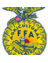 BrockFFA's profile image