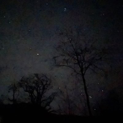 Ivanovsky00's profile picture. 