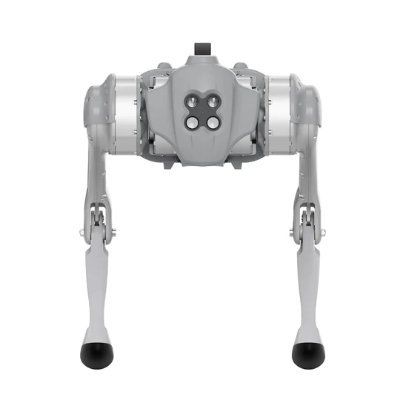 Distribution and Leasing Services for Quadruped Robots