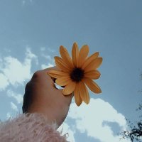 Sohair magdy (@sohairmagdy) Twitter profile photo